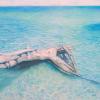 Water Driftwood